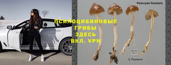 гашик Абаза