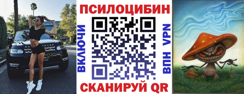 Псилоцибиновые грибы Psilocybe  Пенза 